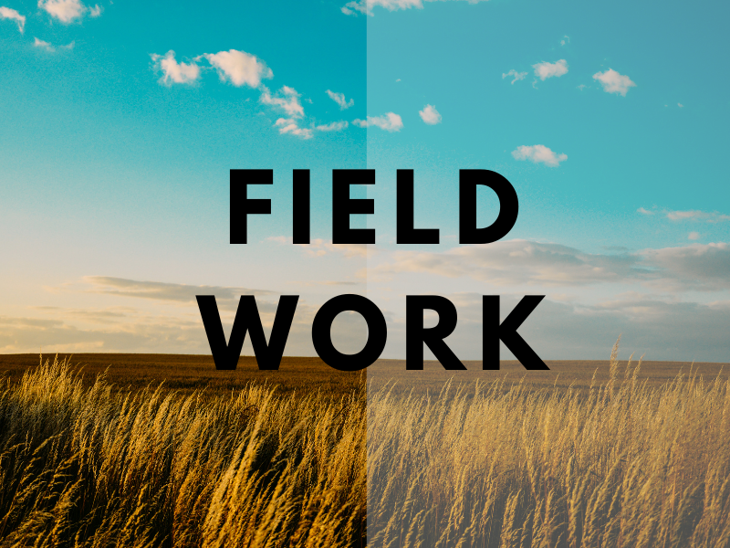 讓世界看見你的田野工作:歡迎投稿French Taiwan Studies